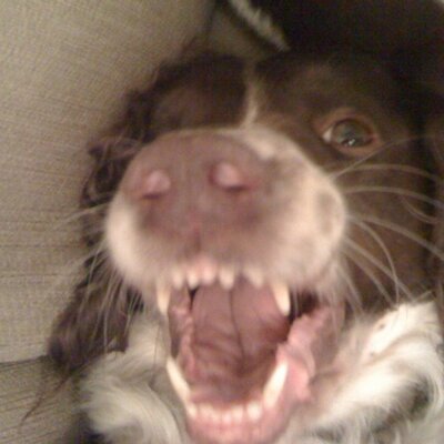 Wayne Lock - Twitter Profile Picture of Wayne Lock (@waynelock30) on Twitter