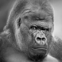 Profile Picture of Jeff Trout (@JeffTrout84) on Twitter