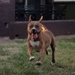 Profile Picture of Daniel Schwerd (@the_schwerdinator) on Instagram