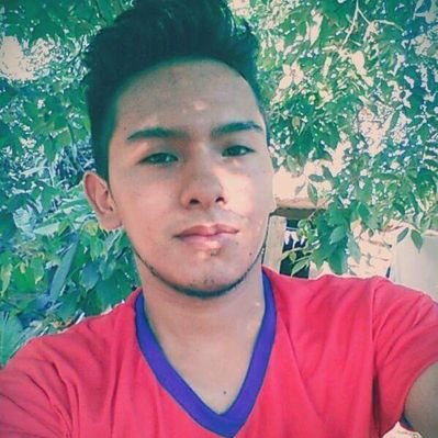 Profile Picture of Mario Jorge Chao Sol (@mario_chao) on Twitter