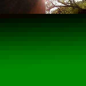 Profile Picture of Dillon Brookey (@newsounded15) on Myspace