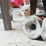 Profile Picture of Siska Avril (@siskavril769) on Instagram