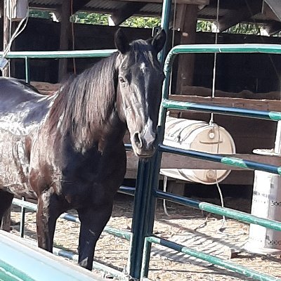 Andrea P Ayerbe - Twitter Profile Picture of Andrea P Ayerbe (@AyerbeP) on Twitter