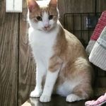 Profile Picture of Sue Ellen Forester (@sueellenforester) on Instagram