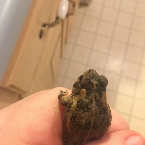 Profile Picture of Haley Stillwagon (@haleywagon) on Poshmark