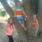 Profile Picture of Tony Whitehead (@tony.whitehead.334) on Instagram