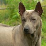 Profile Picture of sybiljonesdale (@sybiljonesdale) on Instagram