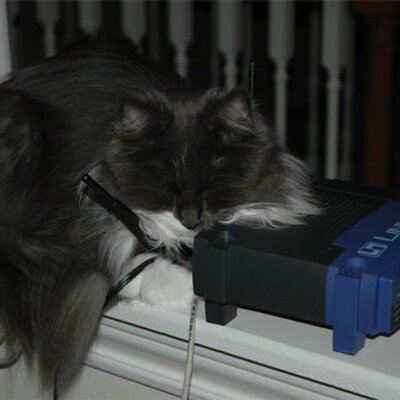 Profile Picture of Michael Is Still Fighting MS08-067 (@SecurityCatnip) on Twitter