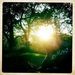 Profile Picture of Adam Callahan (@callahadam) on Pinterest