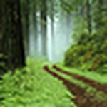 Profile Picture of Dawn Carter (@blueskieskrc) on Flickr