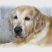 Profile Picture of Frank Pearson (@frank.pearson.794) on Facebook