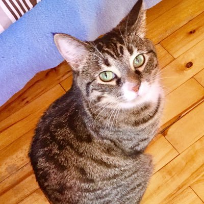 Profile Picture of Justin Dufour (@JustinDufour6) on Twitter