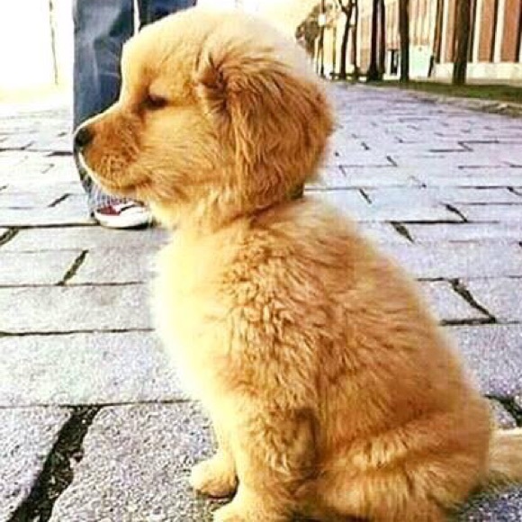 Profile Picture of Marilu Mejia (@mejia91) on Poshmark