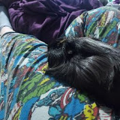 Profile Picture of L Callaghan (@lcallaghan5419) on Youtube