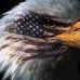 Profile Picture of Richard J Gantzhorn (@richard.gantzhorn) on Facebook