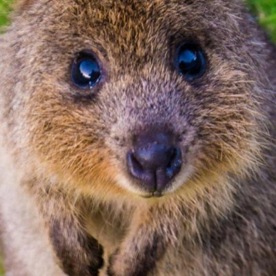 Profile Picture of Michael Sheils (@MichaelSheils4) on Twitter