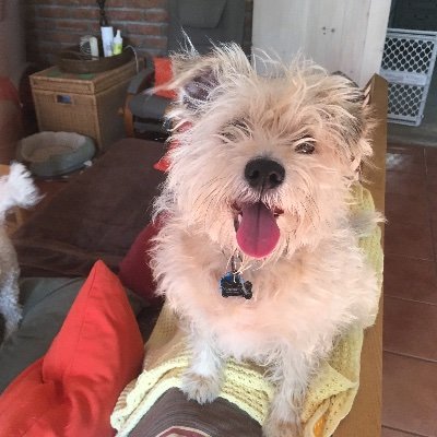 Profile Picture of Paul Eley (@PaulEley6) on Twitter