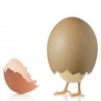 Profile Picture of Albert Sala Manzano (@ASalaManzano) on Twitter