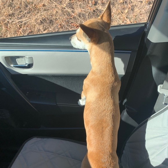 Profile Picture of Danielle Morabito (@daniellemorabit) on Poshmark