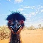 Profile Picture of Tommy Farrow (@j2head73) on Instagram