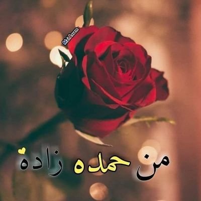 Profile Picture of A.Hussein Mohammed Mursal (@AhusseinMohamm1) on Twitter