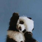 Abagail Roberts - Facebook Profile Picture of Abagail Roberts (@abagail.roberts.71) on Facebook