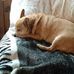 Profile Picture of Shelly Geer (@shelly.geer.16) on Facebook