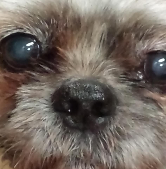 Profile Picture of Crystal Vannest (@crystalvannest) on Poshmark