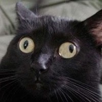 Profile Picture of Jon Grenier (@jon-grenier-1) on Quora