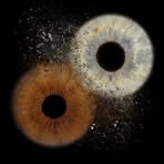 Profile Picture of Sandra FreiermuthSaxer (@sandra.freiermuthsaxer) on Facebook