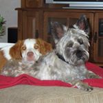 Profile Picture of Jeff Monday (@jeff.monday.71) on Instagram