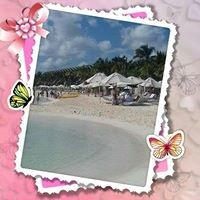 Profile Picture of Amanda Frankland (@amanda-frankland-3) on Quora