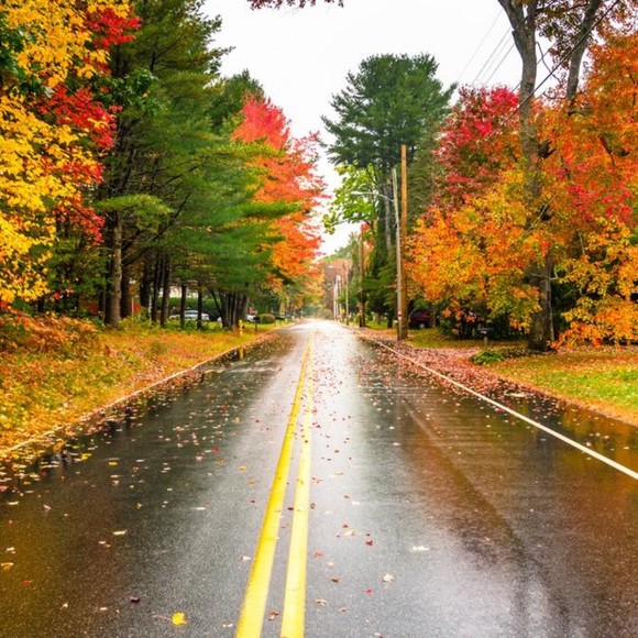 Profile Picture of Jeffrey Bobbitt (@emiloshiv) on Poshmark