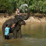 Profile Picture of Carly Gilbert (@carly_hooton23) on Instagram