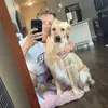 Profile Picture of Adam Theis (@@adamtheis5) on Tiktok