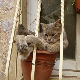 Profile Picture of Александр Крузенберг (@&) on Facebook