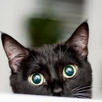 Profile Picture of Daniel Orlow (@Daniel-Orlow) on Facebook