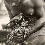 Profile Picture of jose f bellido (@jose f bellido bel) on Flickr