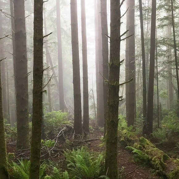 Profile Picture of Peter Lopez (@peterlopez341) on Poshmark