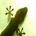 Profile Picture of David McLean (@mcfubar) on Flickr