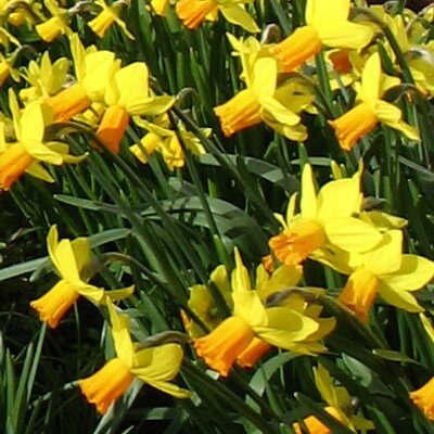 Profile Picture of Deb Graham (@debsyg) on Twitter