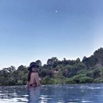 Profile Picture of Sheila Liu (@sheilacats6) on Instagram