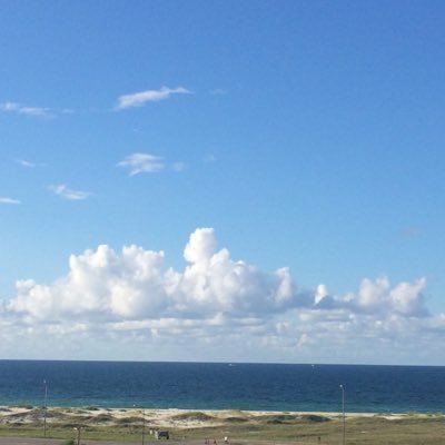 Profile Picture of Jennifer McNair (@mcnair_jennifer) on Twitter