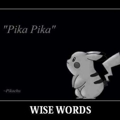 Profile Picture of Steve (david) Strom (@stevethebud) on Twitter