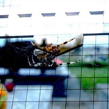 David Esteban - Twitter Profile Picture of David Esteban (@davidrasti) on Twitter