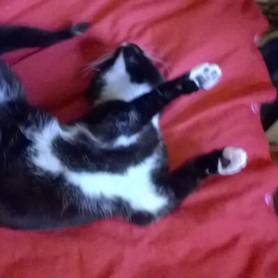 Profile Picture of Richard Hetherington (@RichardHetheri8) on Twitter