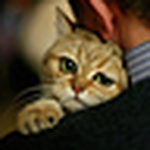 Hakkach1 - Flickr Profile Picture of Hakkach1 (@hakkach1) on Flickr