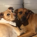 Profile Picture of Lisa Allegrini (@lisa.allegrini.2025) on Facebook