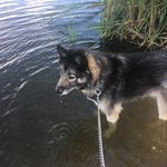 Profile Picture of Konner Michael (@konner.michael) on Instagram