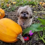 Profile Picture of Nancy Wrigley (@nawrigley) on Instagram